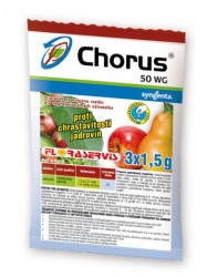 Chorus 50 WG